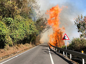 合歡山火燒山！17時起不排除台 14 甲預警性封路