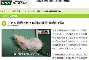 史上第1次！iPS細胞成功做出人耳軟骨