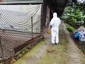 新型H5N2亞型禽流感爆發！防檢局：雲林、彰化雞場已進行撲殺