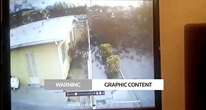 墨西哥天上一朵烏雲突然炸下來 竟是大量候鳥離奇墜地集體死亡