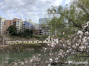 劉黎兒觀點》日本22日起救經濟「與病毒共存」 關鍵原來是…