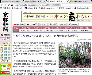 猴猻也稱王？京都名勝傷腦筋