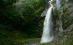 梅雨加持！奧萬大森林遊樂區重現超壯觀「飛瀑」美景