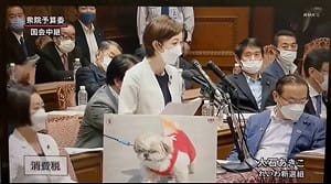 岸田稱不降低消費稅 日議員掏出「狗照片」批：資本家的狗！