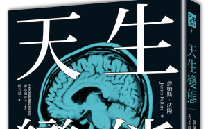 他擁有變態大腦！  一張腦部掃描圖引起的混亂