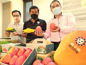 原鄉部落跨域扶植芒果產業升級刻不容緩 地方籲中央支持