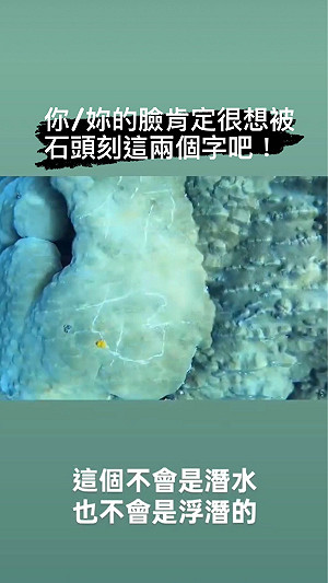 蘭嶼200歲珊瑚遭人蓄意刻字「你好」 網友痛批：黑心行為
