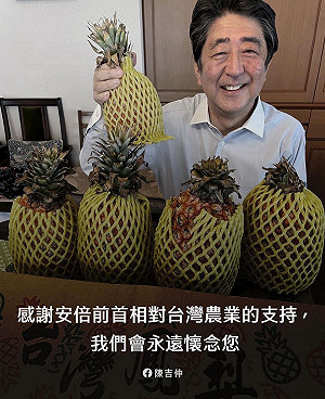 安倍晉三遇刺離世！陳吉仲PO照悼念：最先發文挺台灣鳳梨