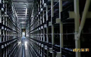禁上廁所害員工情緒崩潰、失禁、裸奔、丟糞便? 「這公司」出面回應了