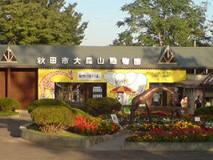 日禽流感延燒 多家動物園閉園或暫停展示