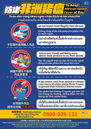 移工還沒賺錢就先收罰鍰！移民署籲勿攜帶或郵遞豬肉製品來台