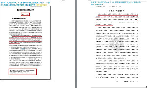 許淑華論文案是抄襲？代寫？ 吳佩蓉質疑：前職員謝百傑可能是寫手