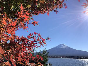 劉黎兒觀點》史上最物美價廉的日本！新冠確診數高掛 開自由行搶觀光客補內閣人氣
