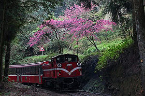 阿里山小火車戴口罩 改善PM2.5