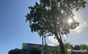 持續高溫炎熱！今飆破36度  專家示警：一路熱到月底