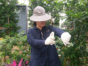 別來「無恙」 清明連假防恙作戰