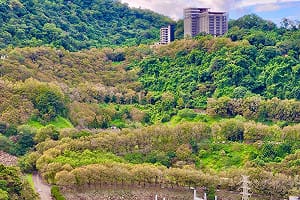 台灣10大賞楓地！石門水庫楓葉轉紅 北水局：聖誕節前後最美
