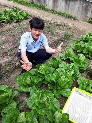 高中校園也成開心農場？愛吃什麼青菜全部自己種
