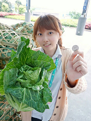 10元搶限量蔬果 板橋假日農民市集周末搶鮮