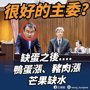 陳建仁大讚陳吉仲 王鴻薇嗆：這就是很好的主委嗎？