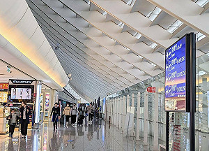 春節連假去哪玩？消保處：跟團需慎選旅行社