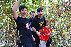 電競好手vs.一日農夫 會做這10件事