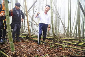 嘉縣梅山遊客誤踩山豬吊 所幸厚底登山鞋保護