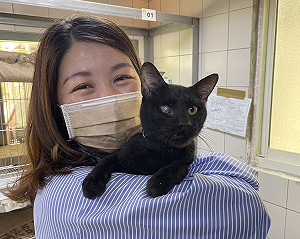 愛撒嬌黑貓眼睛受傷下頷斷裂 新北動保處妙手回春找到新家