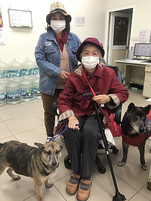 銀髮族養寵物好處多 新北動保處提醒成犬個性穩定更合適