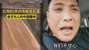 詩》梧桐（致中國無名英雄）