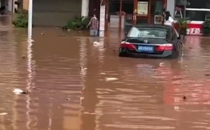 (影) 受對流雲團影響 湖南、浙江多處暴雨成災 水深及腰