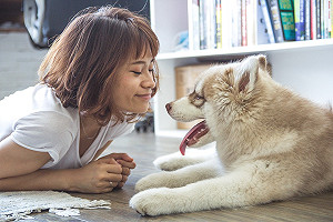 汪星人用這十種行動表達：我愛你