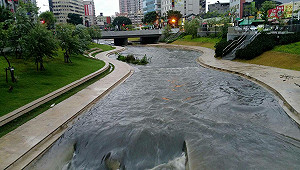 這就是水環境! 大水川堂過排洪功能強 柳川結構無損