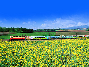 「環島之星」最狂火車玩法！頭等客艙座椅上欣賞美景啖美食
