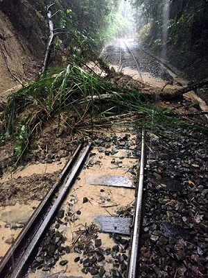 強降雨逾50毫米 阿里山鐵路本線今.明停駛