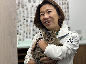 傳林靜儀、張廖萬堅將任政次 賴士葆稱「開幹藍營」：假謙卑時代結束