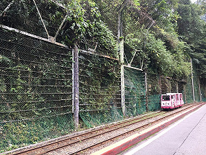 別撲空！烏來台車3月修繕 暫停營運1個月