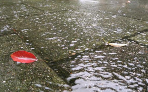 淡水今晨15 .9℃！ 北北基宜4縣市豪.大雨特報