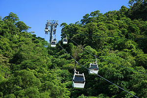 貓空纜車歲修完成 今起恢復營運