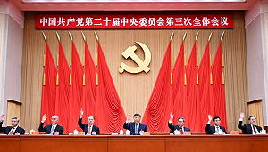 林保華觀點》三中全會無關台灣？ 千言萬語--就是要錢！