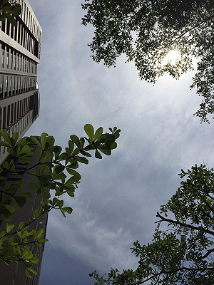 紫外線狂飆 入夏來最熱的一週