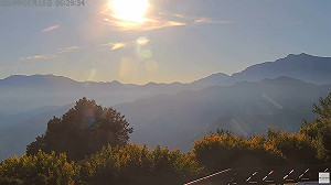 在家享森林浴！7處國家森林遊樂區即時影像上線