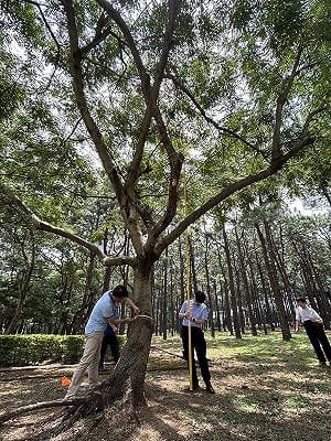 中華電海內外6747員工 5天減少碳排16公噸獲認證