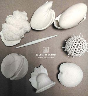 典藏化石免煩惱 3D列印來幫你