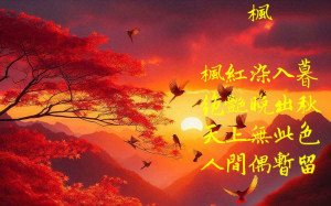 詩》 楓 