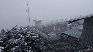 冷氣團襲清晨低溫零下2.4度 玉山降霜與霧淞美景曝