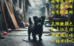 詩》故里巷