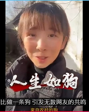 專論》人生如狗：中國底層百姓的命運隱喻