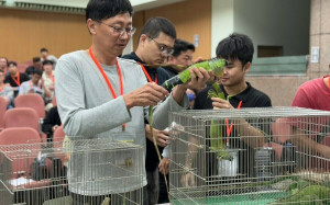 為去年3倍！綠鬣蜥移除破3.6萬 林保署點名關鍵利器