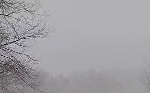 FEMA發警示 拒用「冰」字避誤會ICE